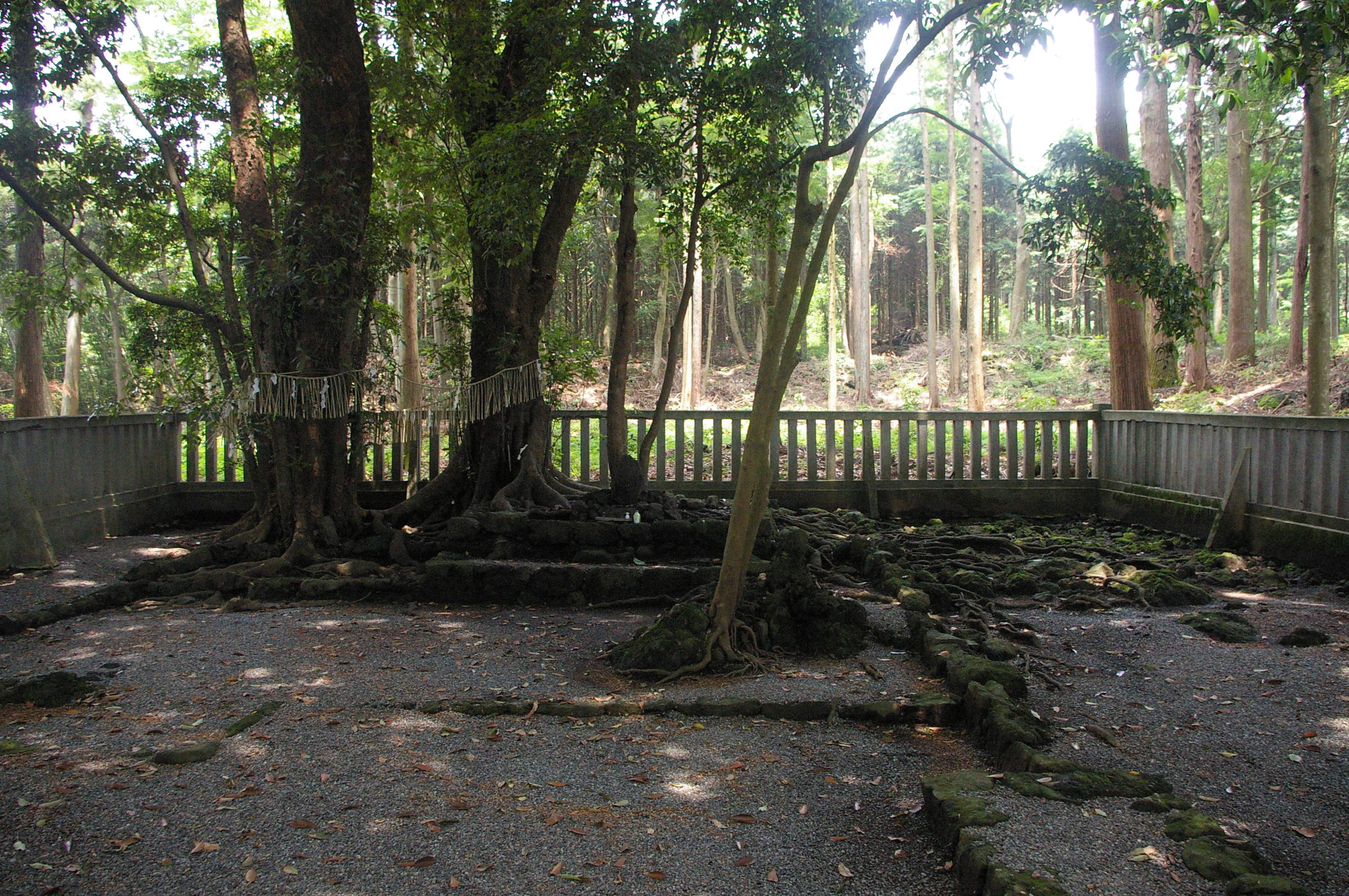 ⛩️ 야마미야 신사 (山宮神社) 이미지 6